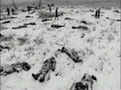Dead Bodies in the Snow at Wounded Knee